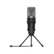 A4TECH Bloody GM20 USB Gaming Microphone - Black