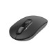A4tech Fstyler FG20 2.4G Wireless Mouse
