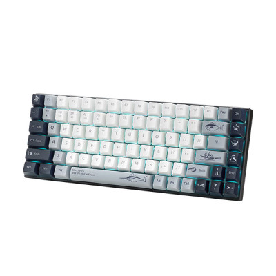 image of Rapoo MT510PRO Multi-mode Backlit Mechanical Silver Switch Keyboard with Spec and Price in BDT