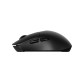 Rapoo M306 Wireless Optical Mouse