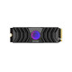 Lexar Professional NM1090 1TB M.2 NVMe PCIe Gen 5 SSD with Heatsink