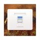 UGREEN NW144 (80180) Single-Port Wall Plate